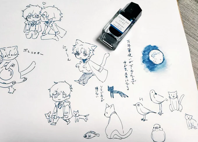 この月夜っていうインク前に買ったの思い出して出してきた。
ソラで描けるのは鳥だけなのでぼーっとしてるとすぐ怪猫が出来上がる 