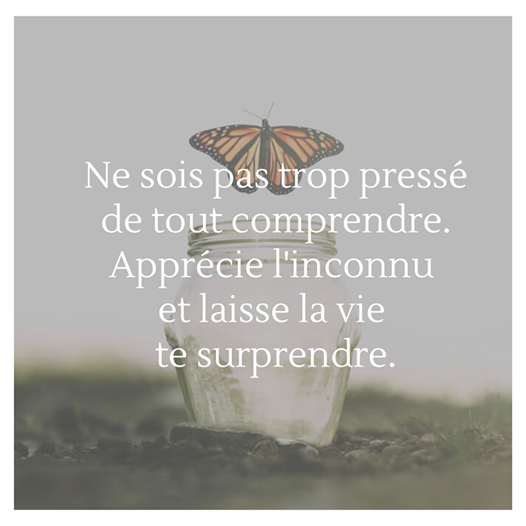 O Xrhsths Quotes Collection By So4real6 Sto Twitter Ne Sois Pas Trop Presse De Tout Comprendre Apprecie L Inconnu Et Laisse La Vie Te Surprendre Citation Citations Inspiration Proverbe Philosophie Motivation Choix Santementale