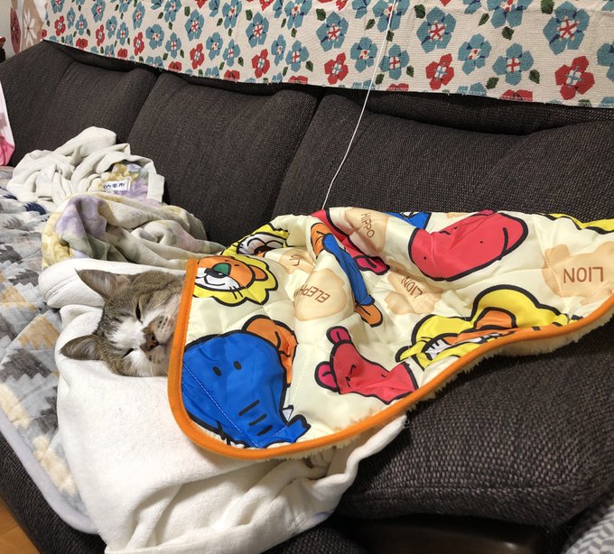 Keyword Stats 2020-10-23 at 17_26_50