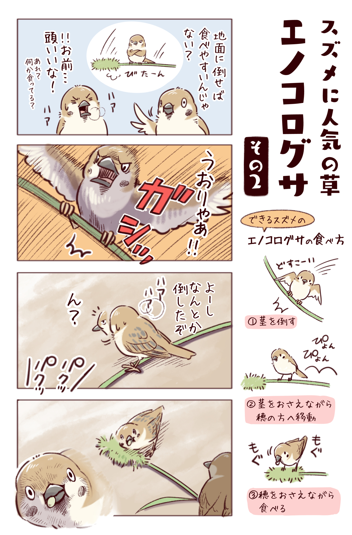 一日一種 わいるどらいふっ 第185種 できるスズメのエノコログサ 猫じゃらし の食べ方とは T Co Xmuirr2z1i Twitter