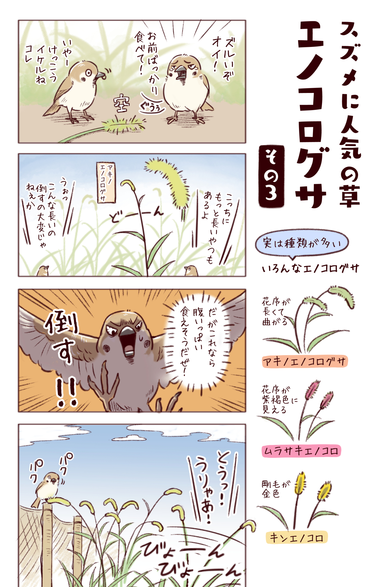 一日一種 わいるどらいふっ 3巻 2 18発売予定 わいるどらいふっ 第185種 できるスズメのエノコログサ 猫じゃらし の食べ方とは T Co Xmuirr2z1i Twitter