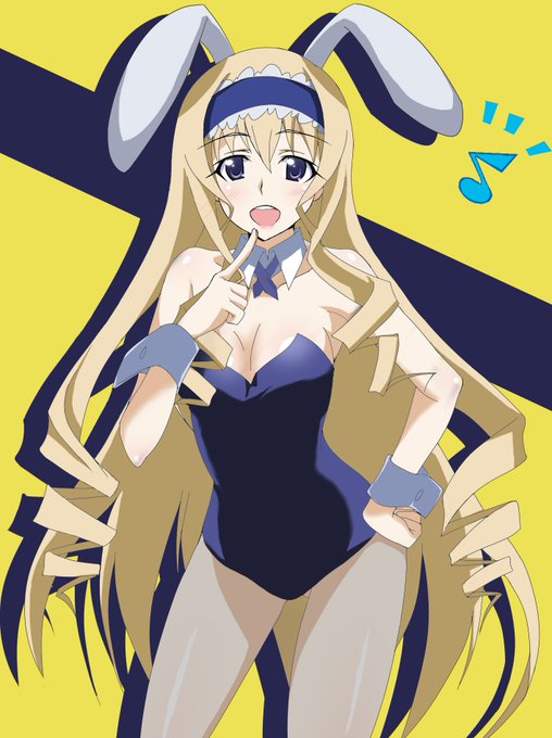 画像まとめ Is インフィニット ストラトス アニメレーダー