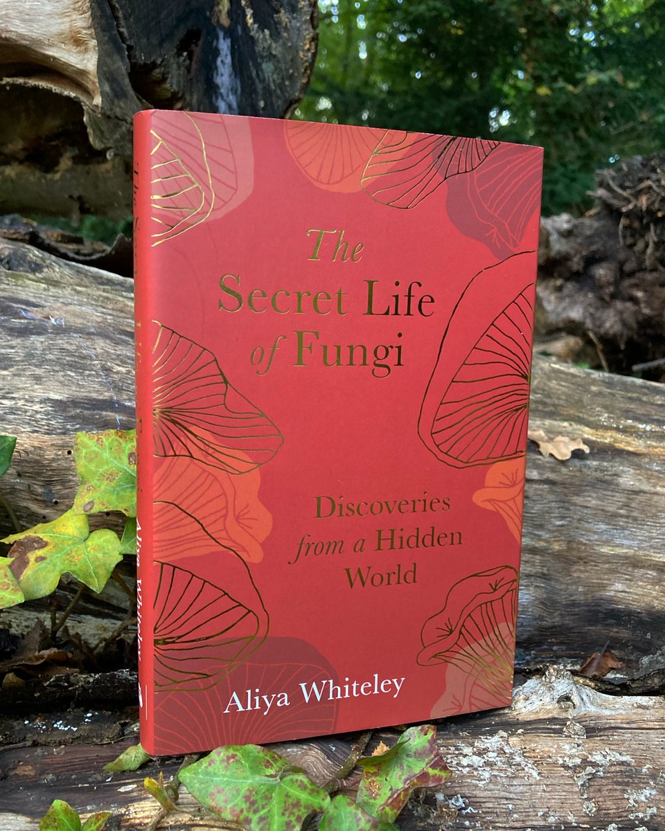 'We are all intimately linked, part of this one world, and fungi is one of the strongest glues that binds us.' 

Happy publication day to @AliyaWhiteley & #TheSecretLifeOfFungi 

An electrifying, mind-bending, personal & intoxicating journey.

Get yours > bit.ly/37tzPfo