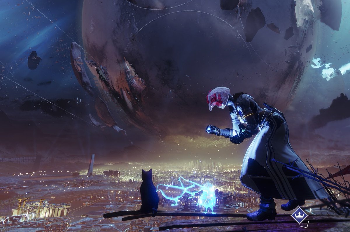 digibert77's tweet photo. Cat among the pigeons...(and a chicken). #FOTLFashionShow @Bungie https://t.co/ujiKxRFDlr
