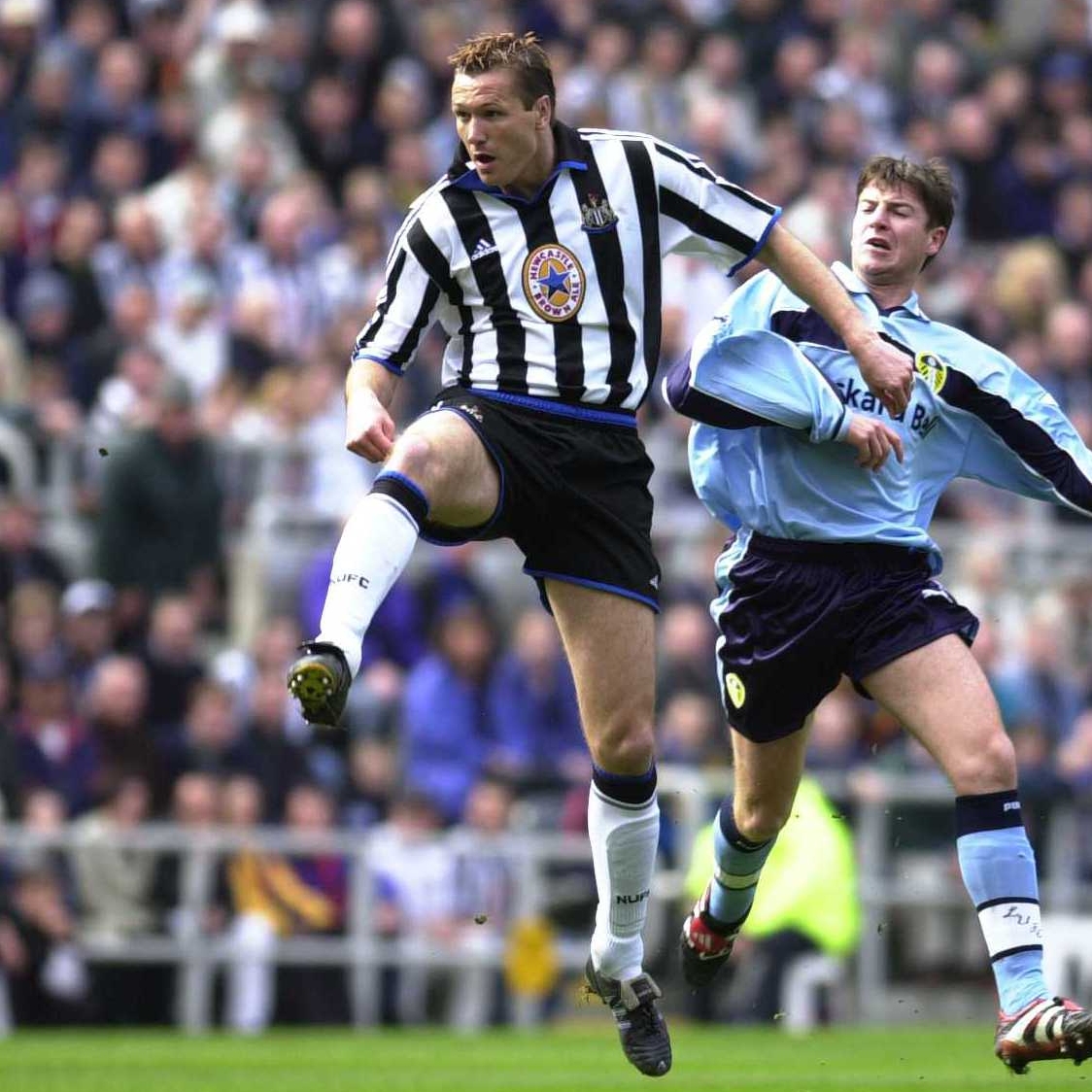 Happy birthday to <a href="/Saivet_Henri/">HenriSaivet11</a> and former #NUFC defender <a href="/stevehowey624/">Steve Howey</a>! 🎂🎉🎁