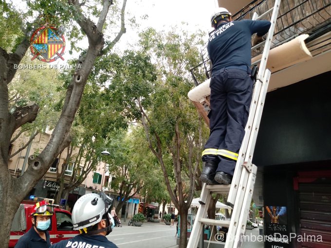 A.C.i E. en Twitter: "Revisión fachada por desprendimiento de molduras tapacables. 10'30 h C/ Blanquerna, esquina C/ Padre Bartolomé Pou. https://t.co/19baJAfwhI" / Twitter