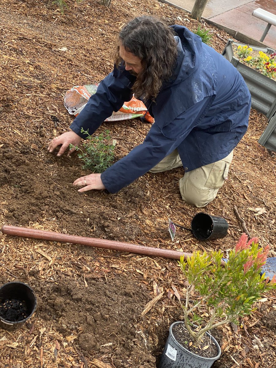 PrestonsPatch's tweet photo. Thank you @Dawe4Peter and @RBGSydney for helping us start our new Bush Tucker garden @PrestonsPS. We are so excited to start learning about our new garden and all of the bush tucker plants 🌱 https://t.co/24SEBgigWe
