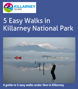 KillarneyGuide's tweet image. With 5k restrictions in place, here's some ideas for your local exercise.
Stay Local Stay Safe #staylocal buff.ly/3mecNgC