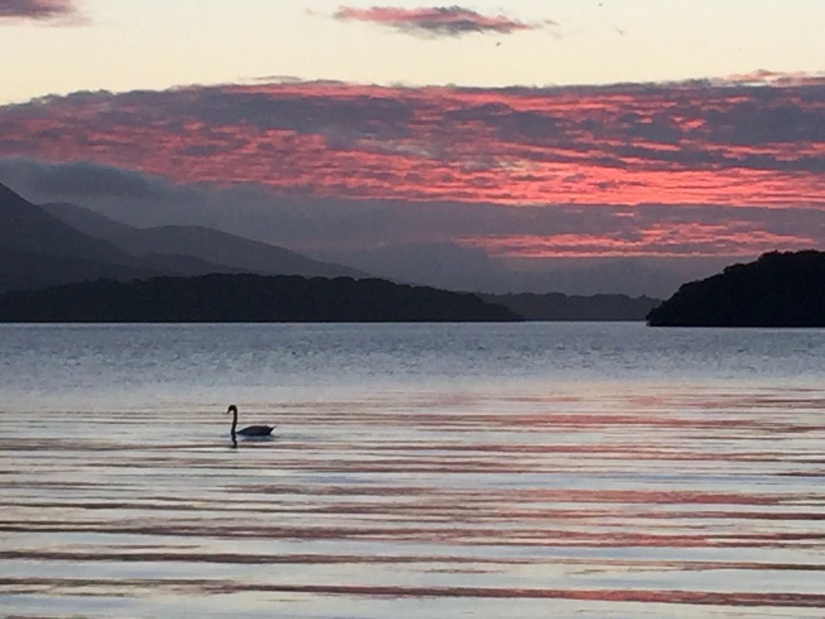 KillarneyGuide's tweet image. With 5k restrictions in place, here's some ideas for your local exercise.
Stay Local Stay Safe #staylocal buff.ly/3mecNgC