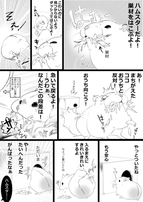 途中で落としたり、最後の最後で忘れて行ったり。
#ハムスター漫画 