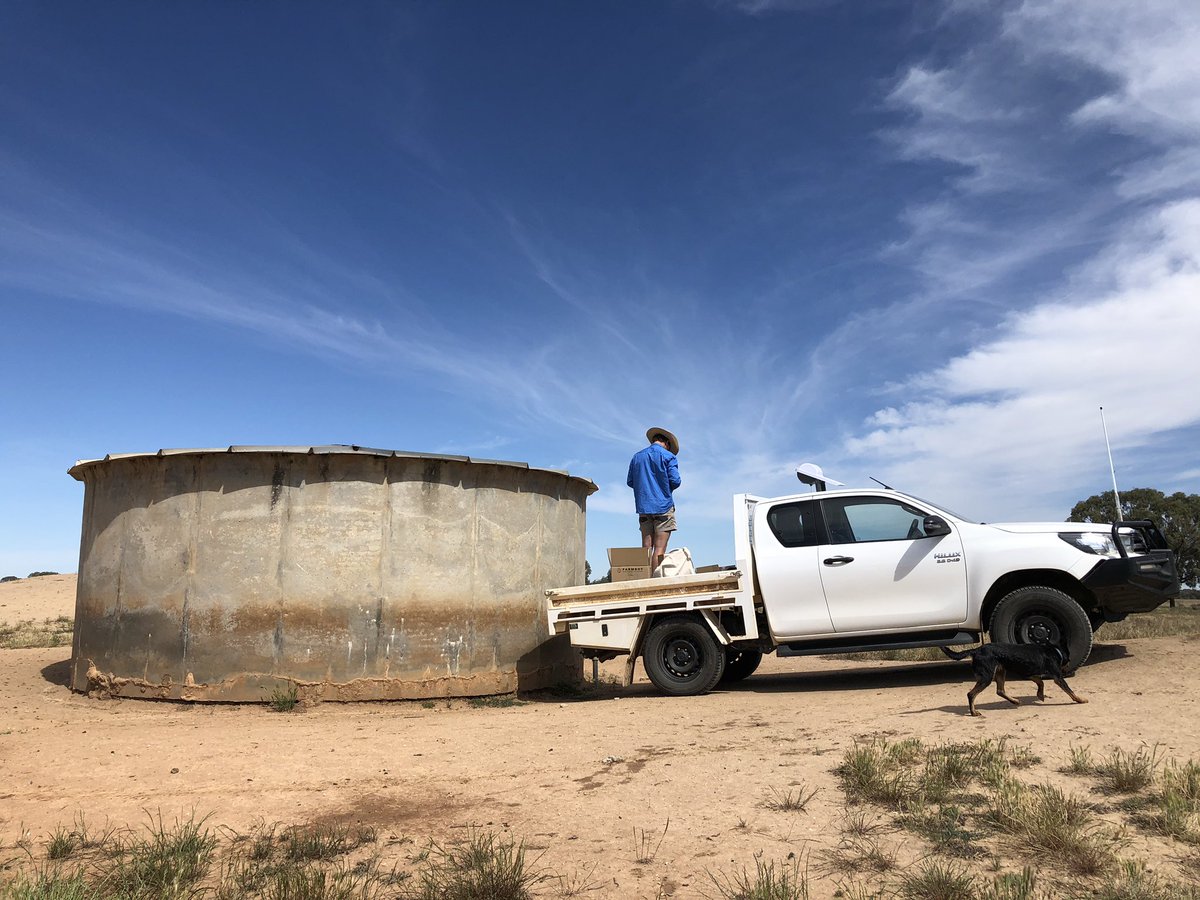 Installing the <a href="/farmbot_tech/">Farmbot Monitoring Solutions</a> water level monitor and rain gauge on one of our tanks. Super quick and easy process to get it up and running. Located 20kms from base 2000 weaners will be here over summer so good to have some piece of mind knowing water is available
