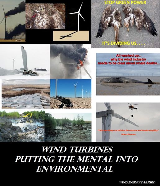Wind_Energy's_Absurd tweet media