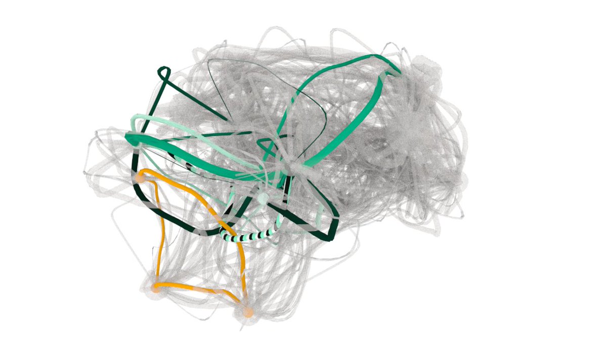 We apply our formalism to brain wiring, finding that the mouse connectome is more entangled than expected based on the optimal wiring hypothesis widely used in brain science. 8/9