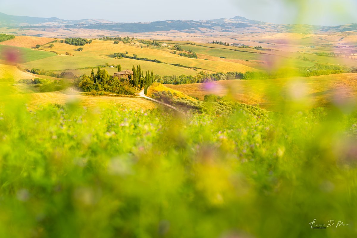 calibritecolor's tweet photo. #Coloratti Tip of the Week with Francesco De Marco:In #landscape photography it's often necessary to use very closed diaphragms to obtain an interesting depth of field.But what if we use a very open diaphragm instead?You'll get a nice blur that can help make an image interesting https://t.co/7pYAGo3S2z