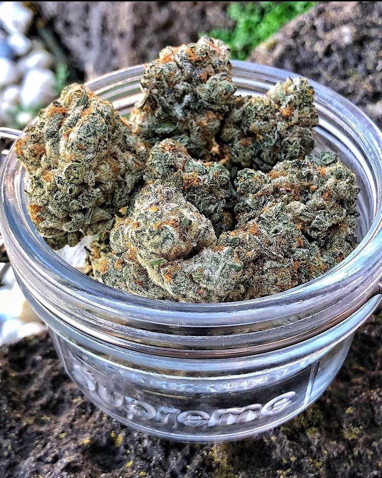 Labrous07443488's tweet photo. Livraison a domicile🌿👇
WhatsAp+337 52 90 03 88
Télégram :https://t.co/osiWPoW0E2
#france #shit #mulhouse #oise #avignon #poissy #Calvados #annecy #bercy #creteil #vitrolles #alès #douai #anglet #meudon #bastia #beuh #metz #cannabispourlafrance #Cannabisfrance2 #weed #vicefrance https://t.co/BwhFtjrfjh