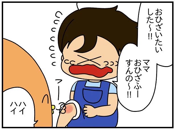 ママのふーは軽度の怪我・腹痛・頭痛・鼻詰まり・喉の痛み・便秘や下痢などに効果があります。 