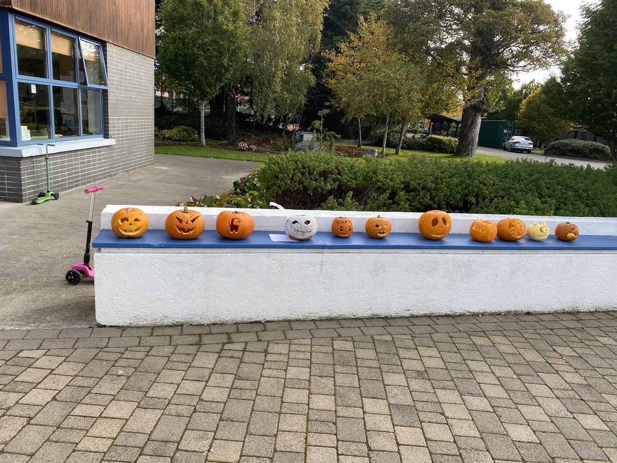 Check out the pumpkin carving competition entries from 5th and 6th!