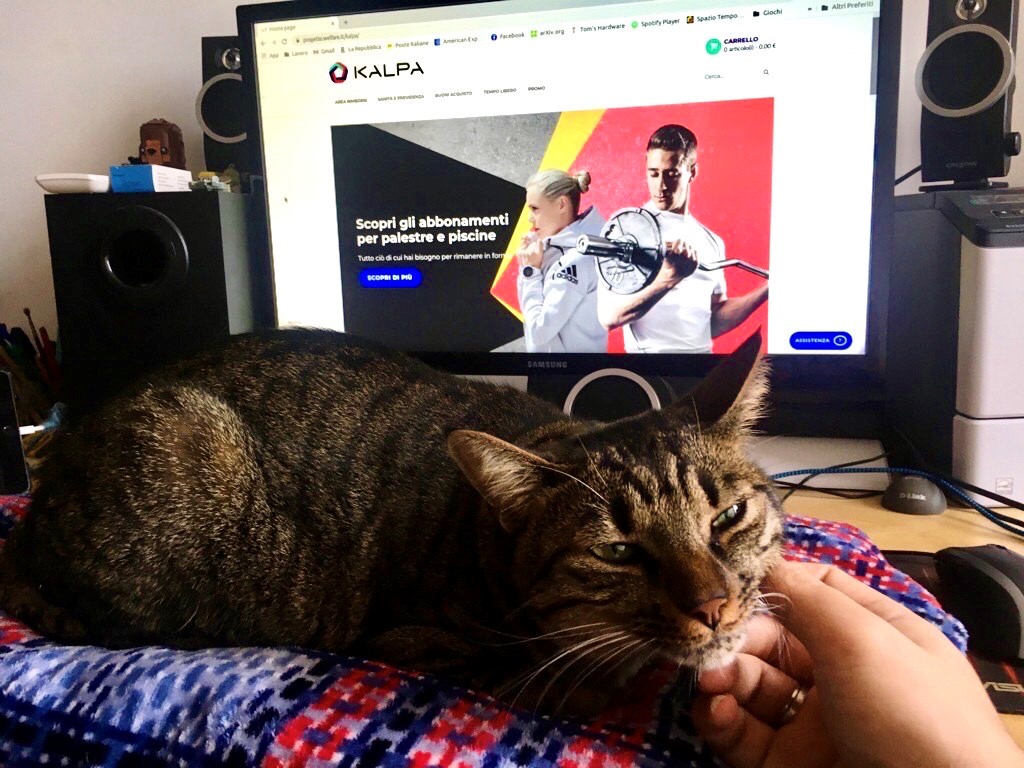kalpa_official's tweet photo. In questo periodo è importante che ciascuno rispetti le misure di sicurezza. Il #RemoteWorking ci permette di garantire efficienza e qualità del lavoro. A farci compagnia, non mancano dei Kalpici speciali. Chissà che non abbiano utili consigli su come spendere il nostro #welfare! https://t.co/fY8dwNlU2y