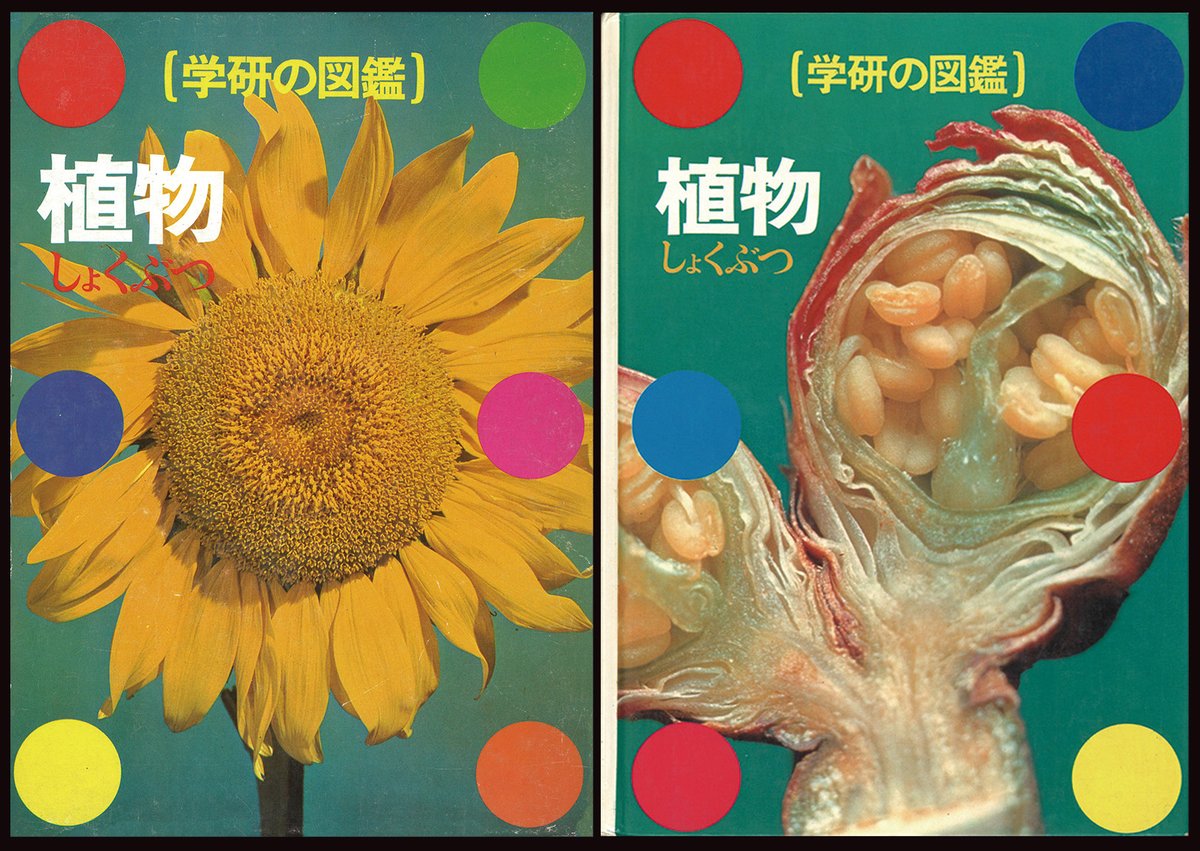 学研の図鑑live 公式 学研の 植物図鑑 表紙の変遷を年代ごとに振り返ってみました 左から順に1970年代 1980年代 1990年代 上がケース 下が表紙本体 見覚えのある表紙はありますか 図鑑の日