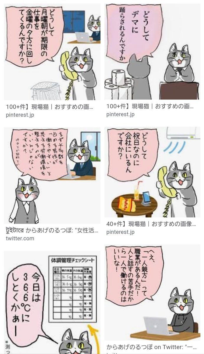 ★現場猫ページ★ 現場猫bot (@genbaneko_bot) on X