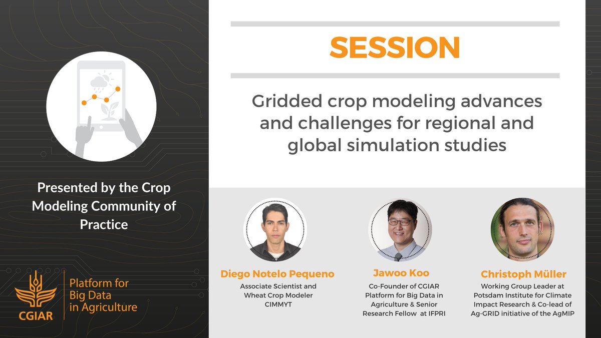 CoP_CM's tweet photo. Don't miss Day 2 of our #BDPGLOBAL2020 Convention. Interesting talks and great sessions! 

Join our @CoP_CM session today about the gridded crop modeling advances and challenges. We have great speakers from @cimmyt, @IFPRI and @PIK_Climate 
 #OneCGIAR 
 https://t.co/pw0A2SpM8f https://t.co/wgbFrw6BG8