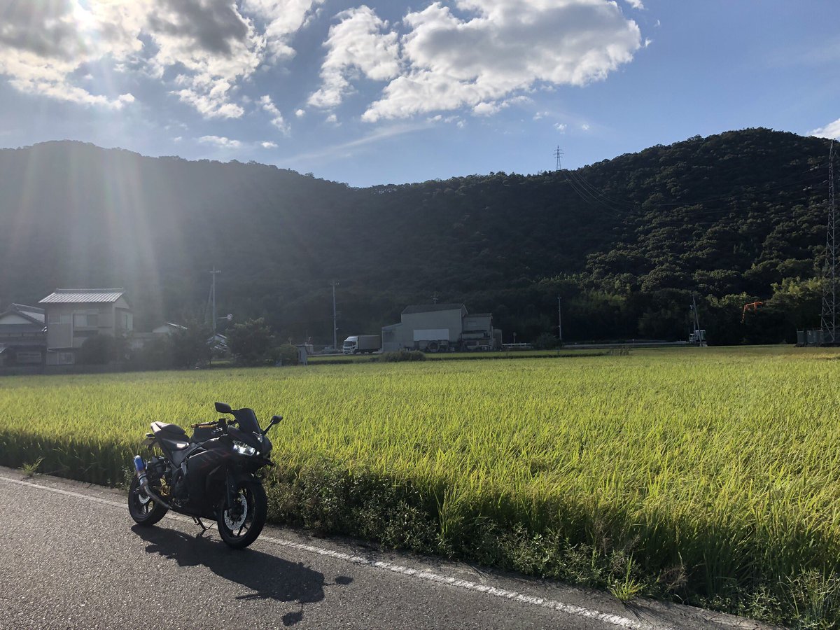 JOKABLOG's tweet image. 田舎しか勝たん！！