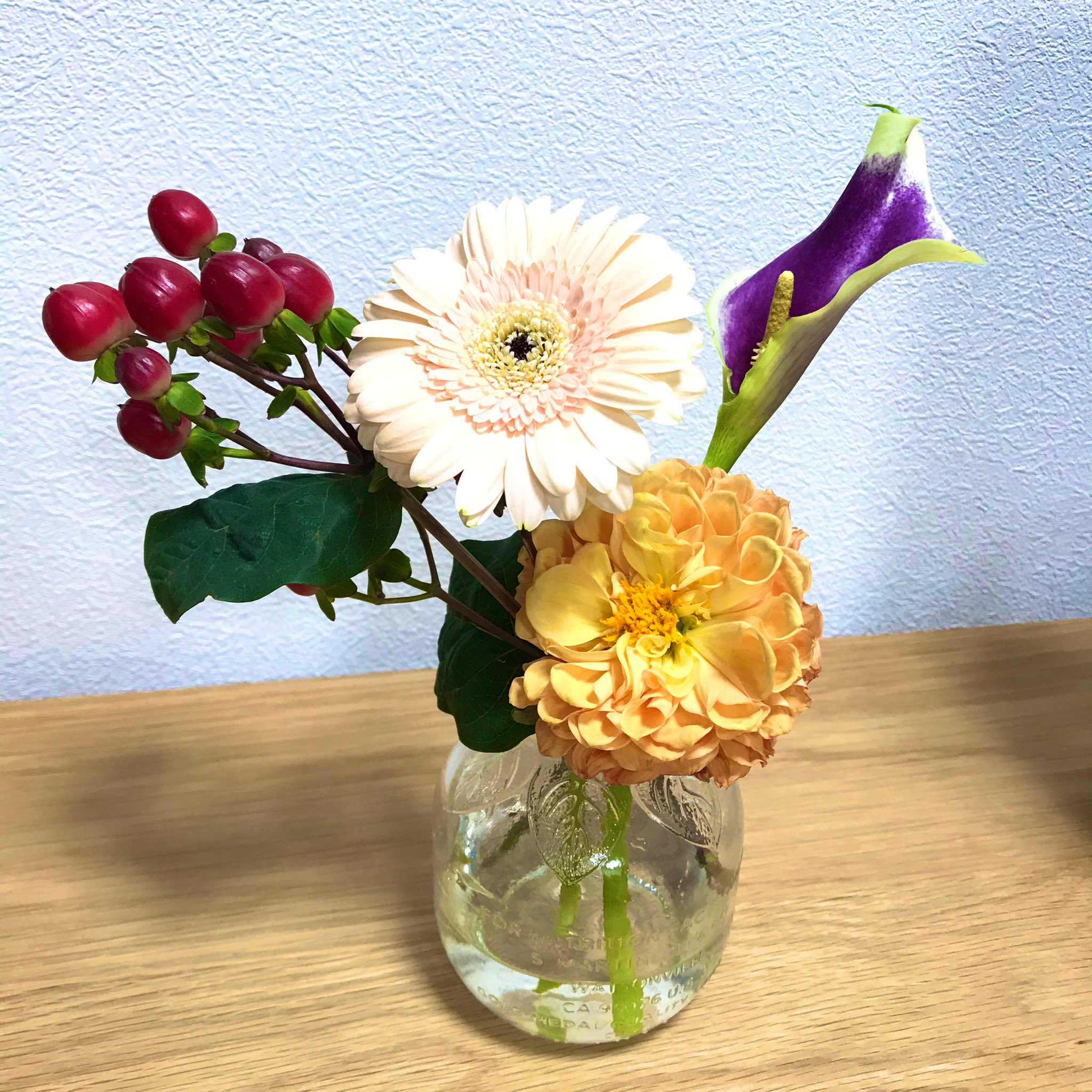 よぷらす 4日目はカラー ピカソという品種で 紫のグラデーションが芸術的 水は少なめがいいみたい ハナノヒ イイハナプラン T Co Ivkiajeuo1 Twitter