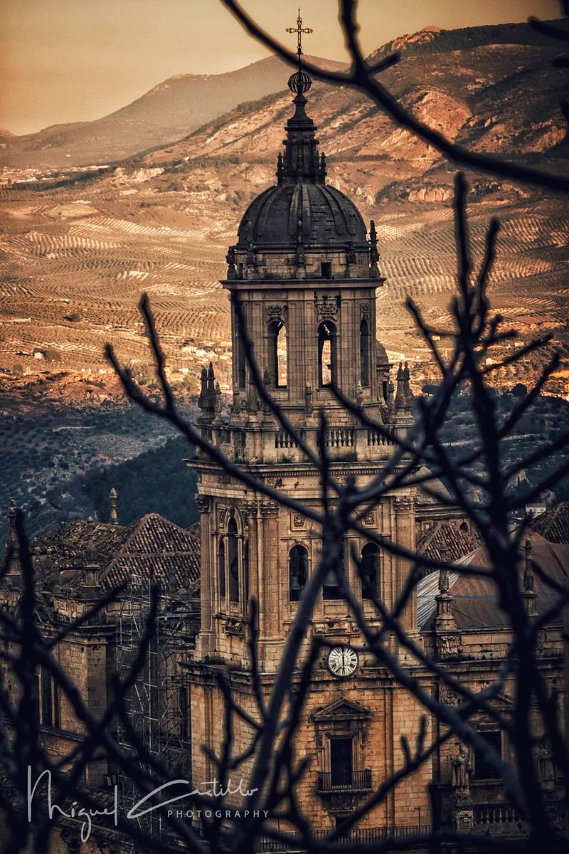turismodejaen's tweet photo. Nuestra #Catedral es impresionante desde cualquier rincón 😍 y nos deja una maravillosa estampa otoñal 🍁🍂

Ven a visitar #Jaénauténtica❗❗

📸 Miguel Castillo

#JaénJaén #Jaén #Andalucía #provinciadejaen #turismo #turismoespaña #viveandalucia #españa #spain #otoño #patrimonio https://t.co/JEpGgYq1go