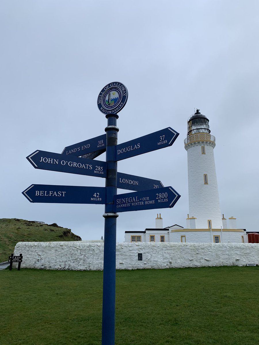 Gary Dale tweet media