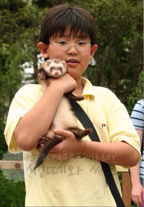  #CHANYEOL and his ferret, Ddori  [a thread]Some fans already shared about this several years ago..but since many of you asked for it, here it goes ~When  #찬열 was in elementary school, he was part of a "Ferret Lovers' Club".Here are some of his photos with ferrets.