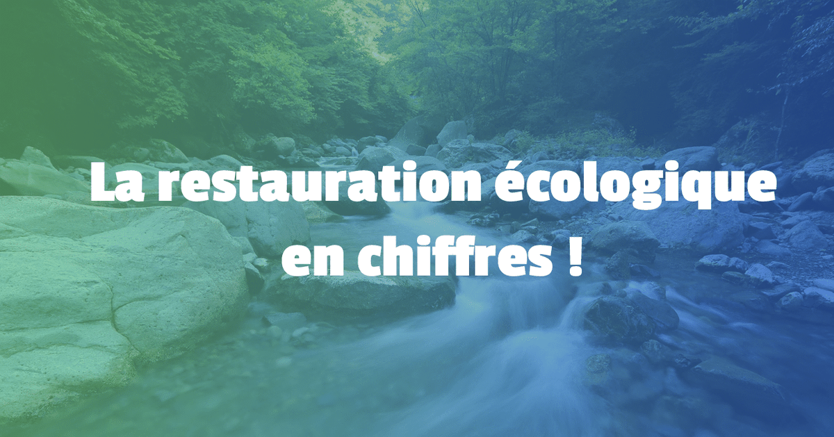 EnImmersion's tweet photo. 💦 Les travaux de restauration écologique des cours d’eau ont un impact positif sur l’ensemble des fonctions écologiques de ces derniers, mais aussi sur l'économie des territoires ! Financièrement, qu'est-ce que ça représente ? On fait le point ici ! 👉🏻 https://t.co/cZAs10WxKr https://t.co/MpftuoVca8