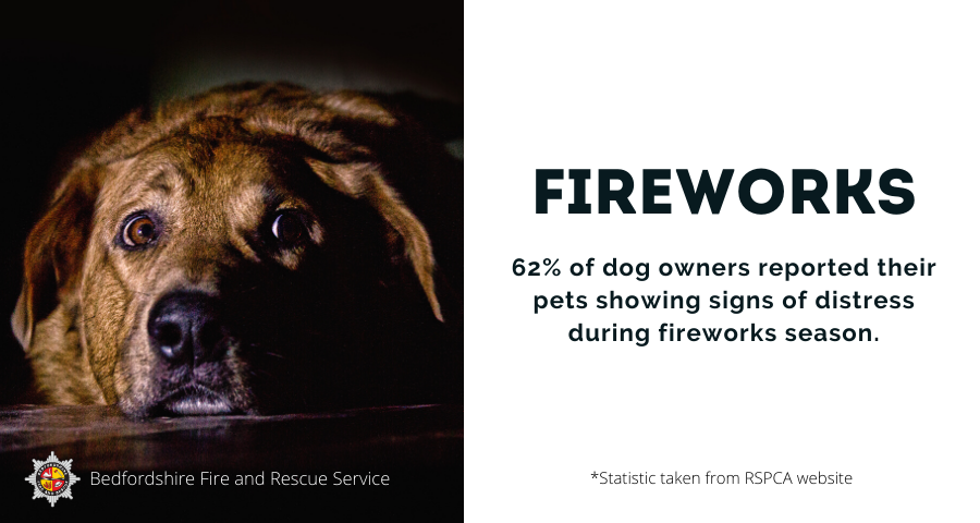 BedsFire's tweet photo. π₯ Ahead of bonfire night, #TeamBedsFire are issuing a public appeal.
π We urge our communities to be respectful this year & think twice about having your own fireworks display.
π Read more here: https://t.co/WDd8sRf7bo
#fireworks #bonfire #keepingbedssafe #PleaseShare https://t.co/LSA7VB4kvl
