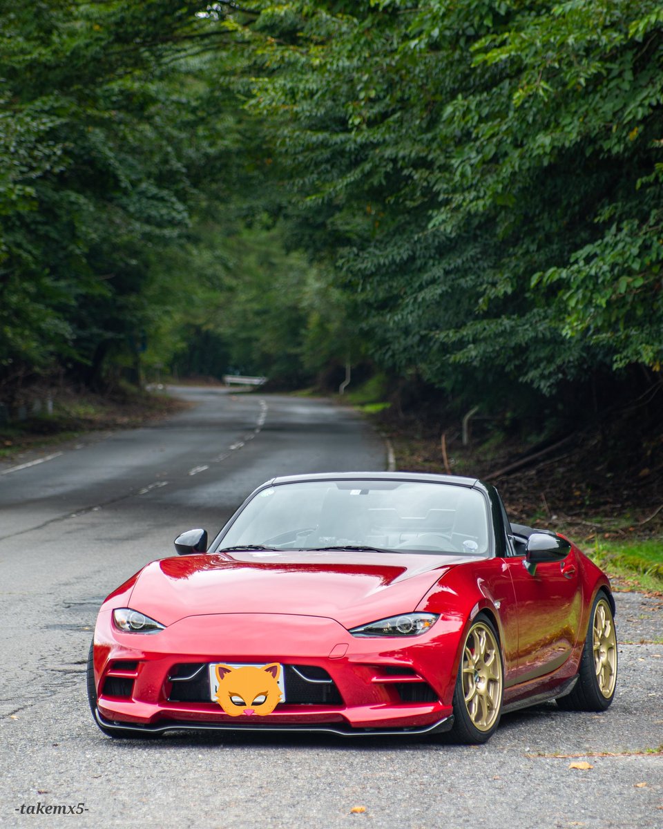 Takemx 5 今年の仕様変更を振り返る 黒号 維持 興栄自動車エキマニ マーベリック装着 車高調節 赤号 購入 車高調節 デカールぺたぺた T66 F装着 ダックスガーデンフロント装着 Takemx 5 今年の仕様変更を振り返る 黒号 維持 興栄自動車エキマニ マーベリック装着 車高調節 赤号 購入 車高調節 デカールぺたぺた T66 F装着 ダックスガーデンフロント装着