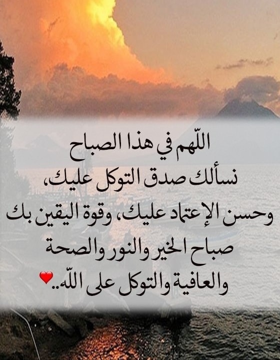 naibi_abk's tweet image. 