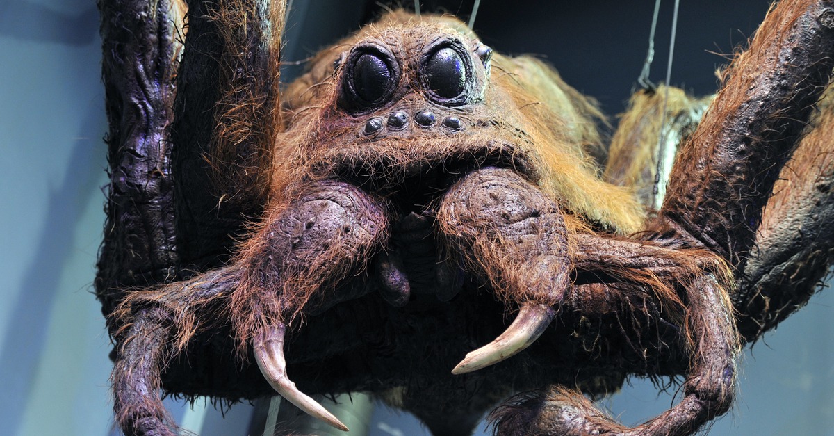 auslöschen Zurecht kommen dünn spinne von harry potter vorteilhaft Einladen schmerzlich