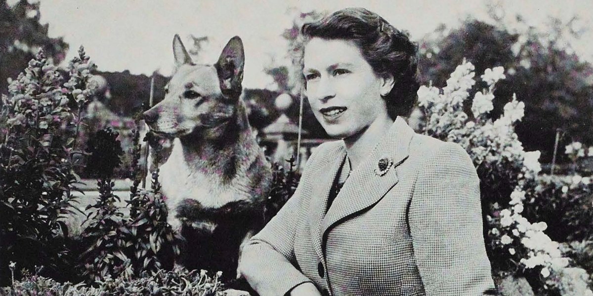 In 1956, Her Majesty Queen Elizabeth II became a Patron of Battersea, and she has been a wonderful supporter and friend to our dogs and cats for many years.   #ThrowbackThursday