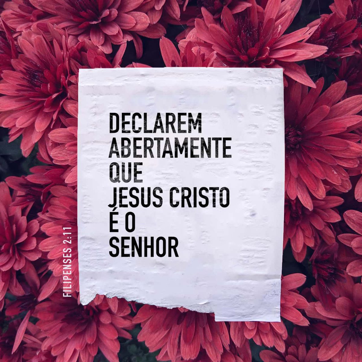 enteu's tweet image. Declarem abertamente que Jesus Cristo é o Senhor, para a glória de Deus, o Pai.

Filipenses 2:11