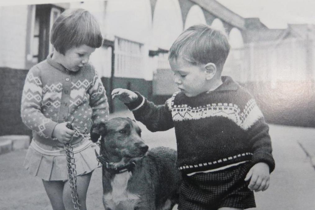 In 1967, we released our first educational film ‘Little Dog Lost’. The film was available for loan free of charge to schools and charitable groups such as the  @WomensInstitute. Its key message was the importance of dog collars with contact details on the tag.  #ThrowbackThursday