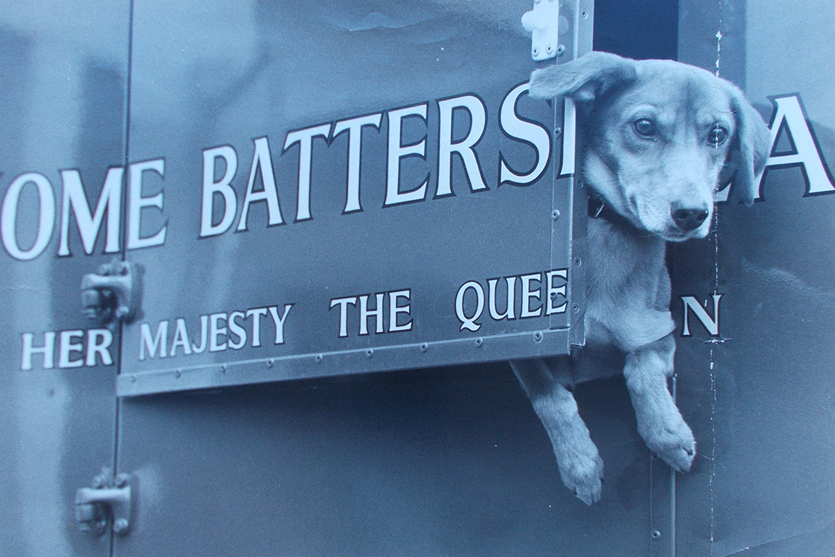 In 1983, Battersea took in our 2,500,000th dog!  He was a cheeky stray that we named 'Lucky', and he's pictured here peeking out of the back of one of our vans.   #ThrowbackThursday