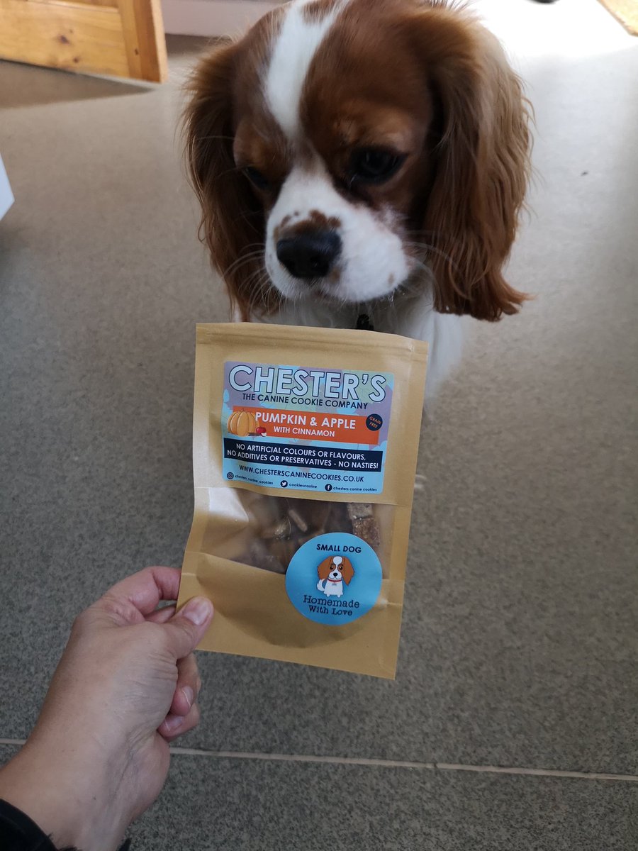 Benji received our October special today! 🎃🎃🎃