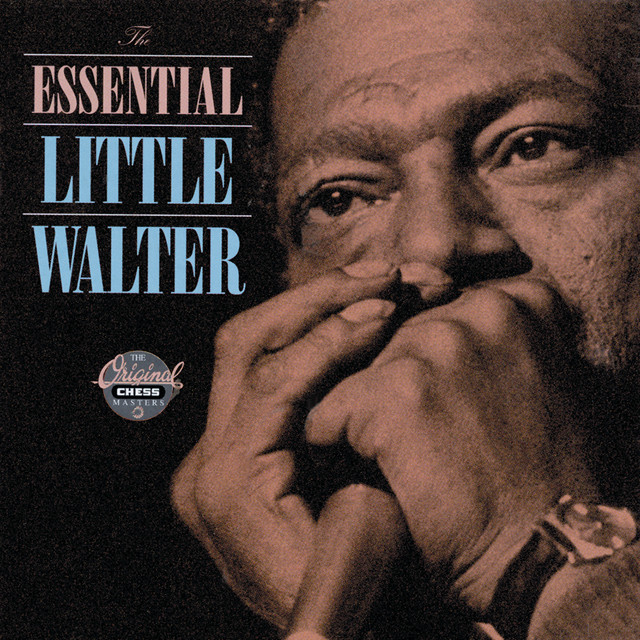 bluezharp's tweet photo. Little Walter #harmonicist
Top 3 Songs (arguably)
Key To The Highway (C harmonica, 2nd pos, key of G)
My Babe (Bb harmonica, 2nd pos, key of F)
Juke (A harmonica, 2nd pos, key of E)
explore &amp; learn #howtoplay #songs on #harmonica #bluesharp #learnharmonica
https://t.co/hgfVOhBYTb https://t.co/9QD9F2bNgL