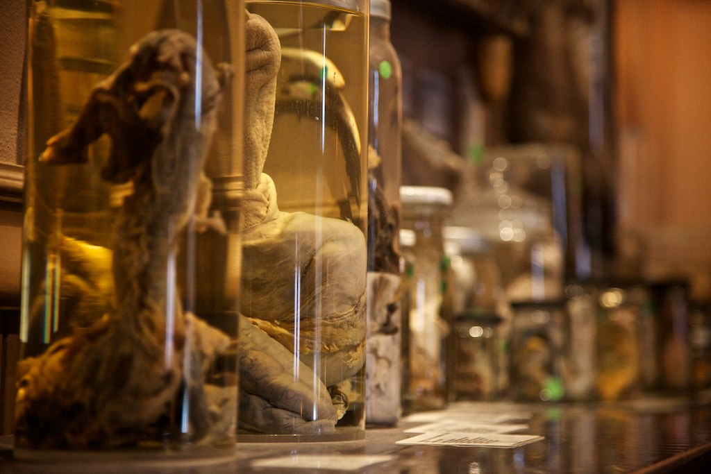 ArtReview_ tweet media