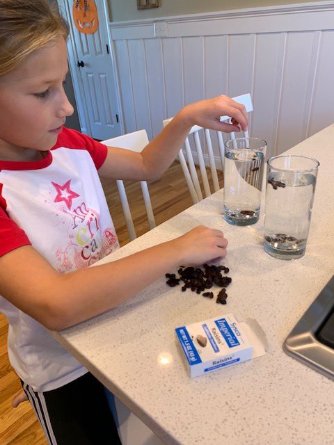 Mrs. Merchant tweet media