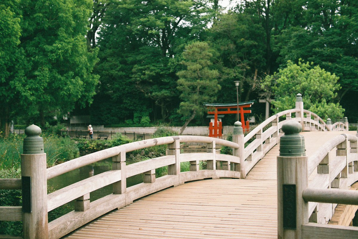 ・Senzokuike Park
Nikon Nikomat+Nikkor 50mm F1.4
Fujicolor Superia X-tra 400
#film
#filmphotography https://t.co/lnQbAG8iy7