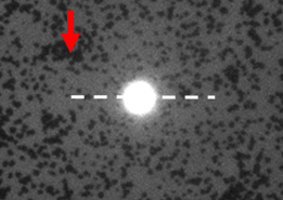 Matt Poyton tweet media