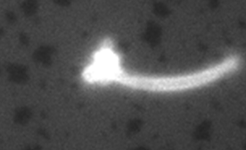 Matt Poyton tweet media