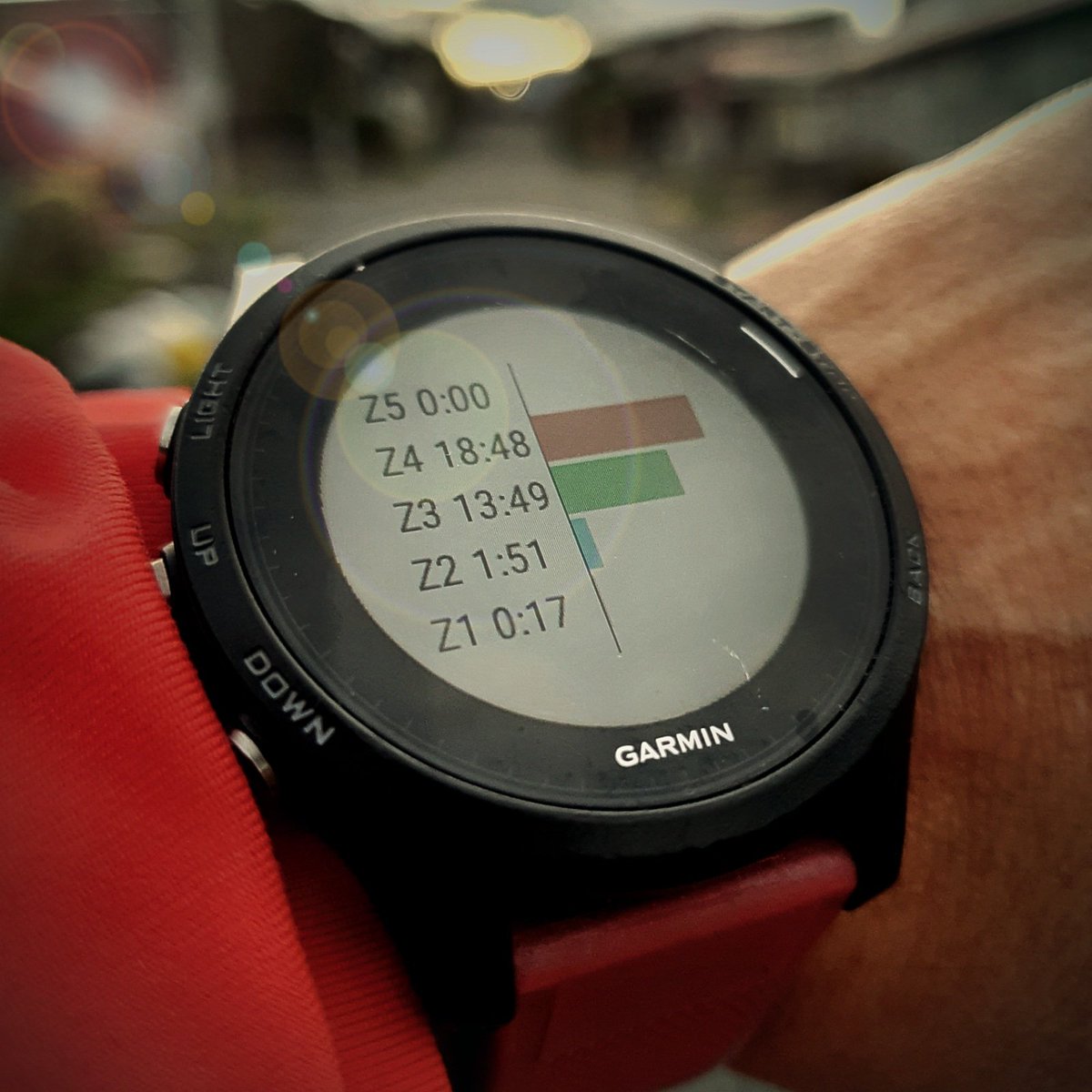 jp_salas's tweet photo. Salidita mañanera
.
.
#runner #CostaRica 🇨🇷 #Garmin #nikerunning #adidasrunning #ultraboost #parley #goodr #yoelegicorrer #RTY2017 #PuraVida #headsweats https://t.co/9FcpwFaB0r