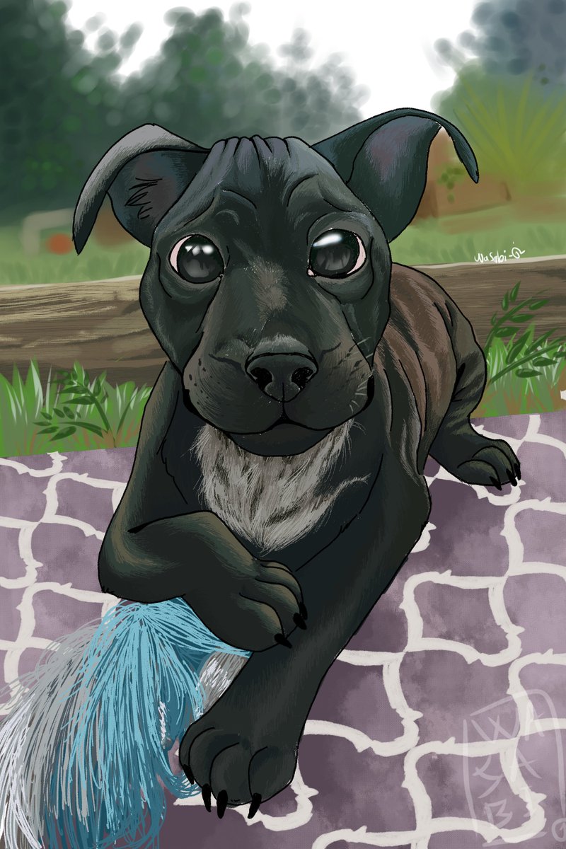 LDewasabi's tweet photo. Je viens de terminer ce petit portrait semi réaliste 
je suis content du résultat =^w^= 
#portraits #dessin #Chien #puppy #commissionsopen https://t.co/Bc3rBz80oz