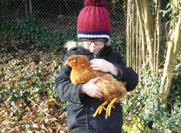 🚜 Coming with us on this journey? We've just launched our "Friends of the Farm" scheme - mailchi.mp/4f87de15ad0b/f…