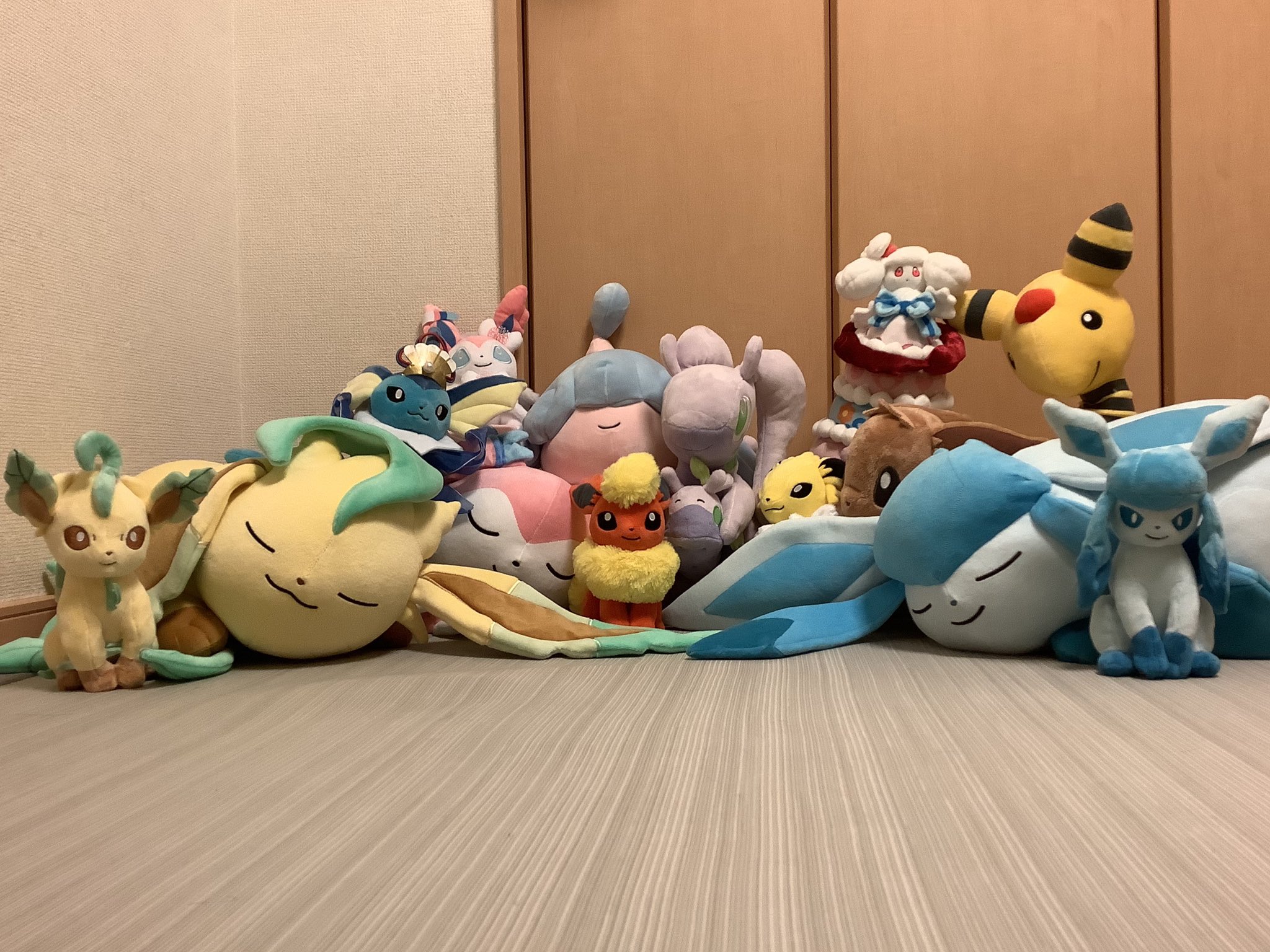 تويتر 灯光 あかひか على تويتر 最近ぬいぐるみないと私眠れない 寂しいもん ポケモン ぬいぐるみ ヌメラ ヌメルゴン ブイズ イーブイ すやすやグレイシア すやすやニンフィア すやすやリーフィア マホイップ デンリュウ ミブリム